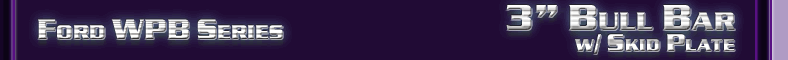 Ford 3" Bull Bar