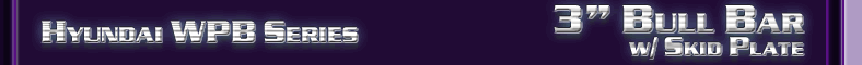 Hyundai 3" Bull Bar