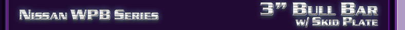 Nissan 3" Bull Bar